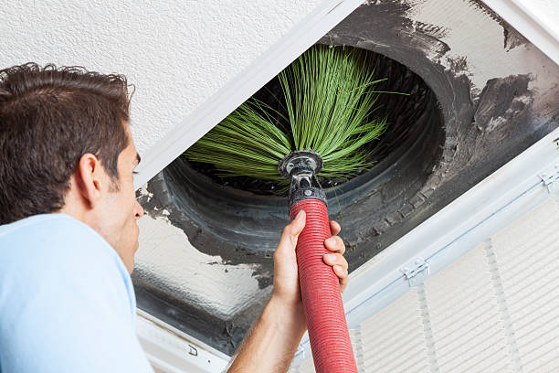 Best Dryer Vent Cleaning Services  in Hanna City, IL