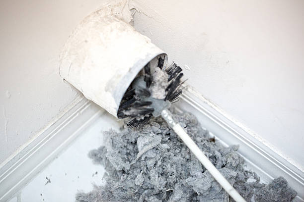Best Professional Duct Cleaning Services  in Hanna City, IL